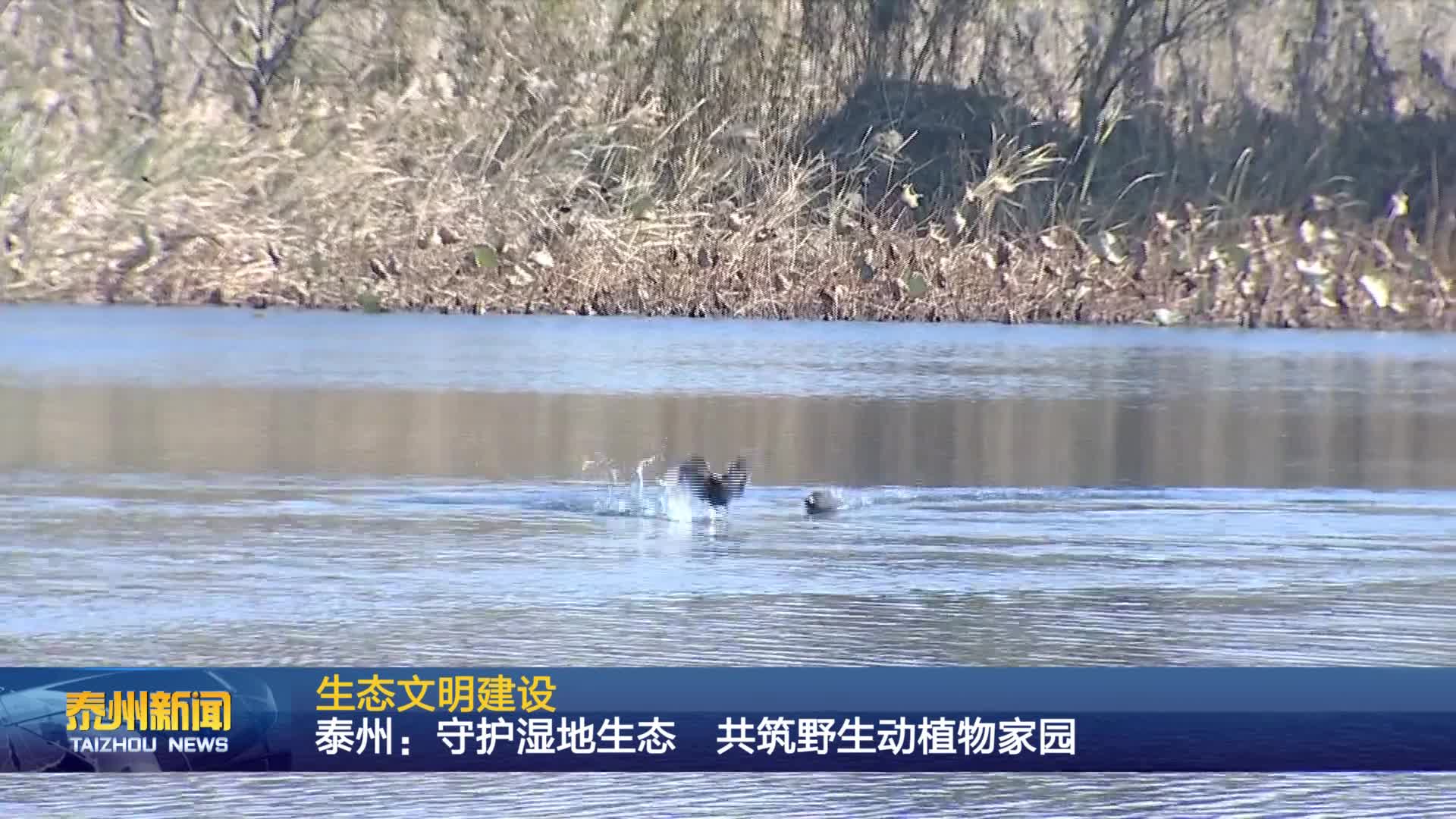 泰州市出席省十四届人大五次会议的代表向大会报到